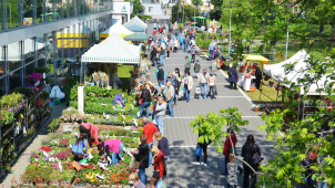 Jak loni hospodařily městské firmy? Podívejte se
