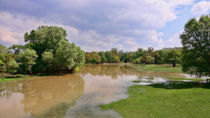Olšany vybudují protipovodňový park