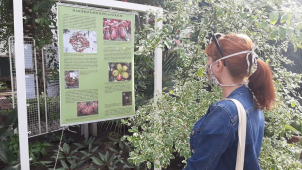 Roušky? Od zítřka povinně ve všech vnitřních prostorách!