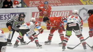 Hokej požádal o výjimku pro profesionální hráče