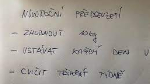 Novoroční předsevzetí. Ano, nebo ne?