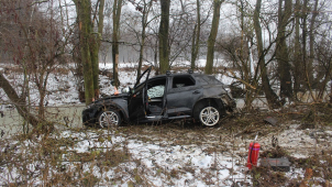 Muž nezvládl řízení a skončil ve stromě