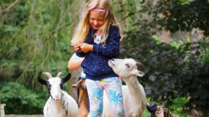 Lidé zvířatům v olomoucké zoo darovali necelých 7,5 milionu korun