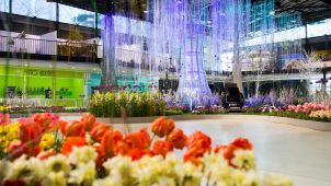 Desítky tisíc květin a bohatý program. Flora Olomouc se vrací