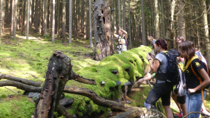 Na životní prostředí půjdou milióny