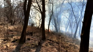 V neděli měli hasiči práce až nad hlavu