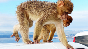 Fotbalová výprava do malé Británie na jihu Španělska