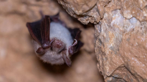 Na Olomoucku startují jarní prohlídky jeskyní