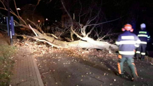 Hasiči na Jesenicku se během větrné noci činili