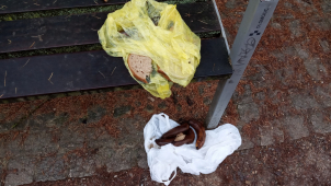 Achillovy paty Olomouce: odpadky v parku