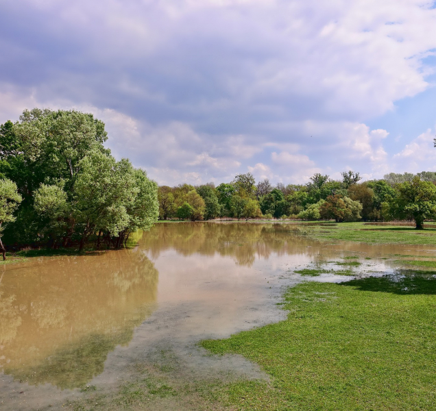 Olšany vybudují protipovodňový park