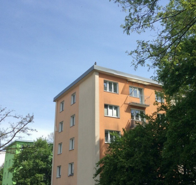 Atrapa sovy vylekala ženu, která přivolala strážníky