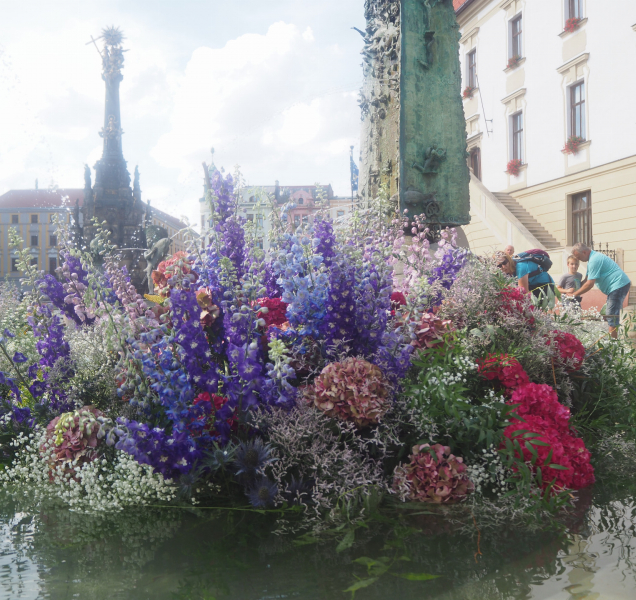 Arionova kašna po roce opět krásně rozkvetla