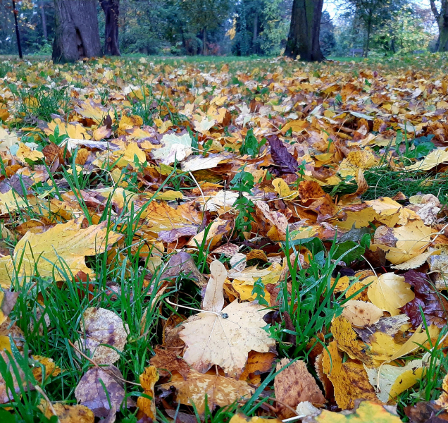 Počasí o víkendu? Teploty vyšplhají až k deseti stupňům Celsia