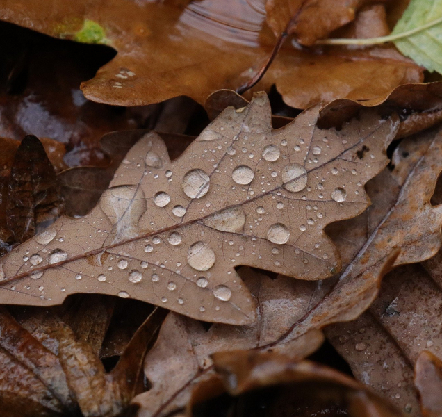 Počasí o víkendu: Rtuť teploměru vyšplhá ke dvanácti stupňům