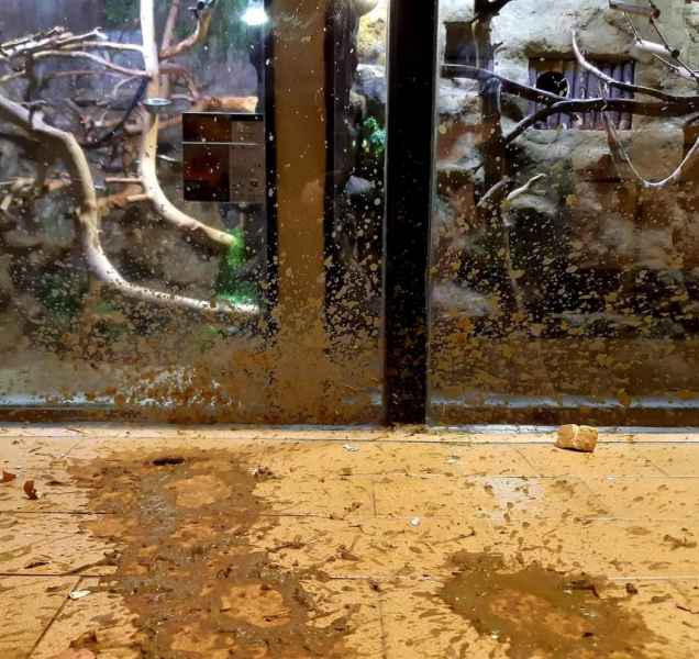 Fanoušci pyrotechniky připravili zvířatům ze zoo perný Nový rok