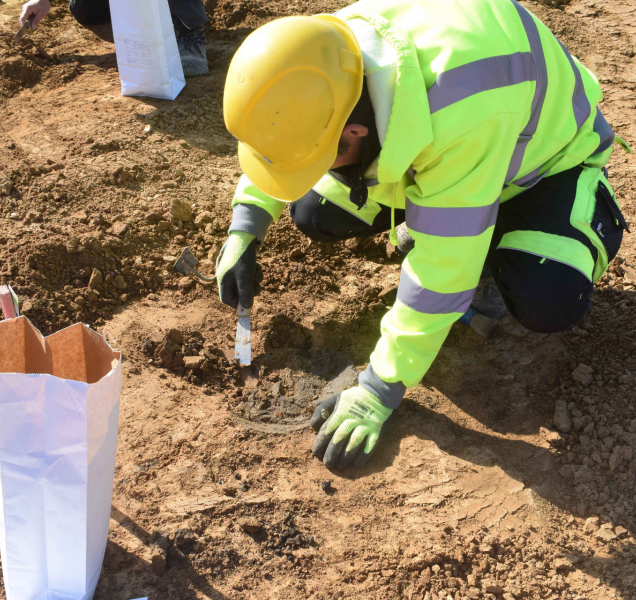 Archeologové odhalili nové pohřebiště