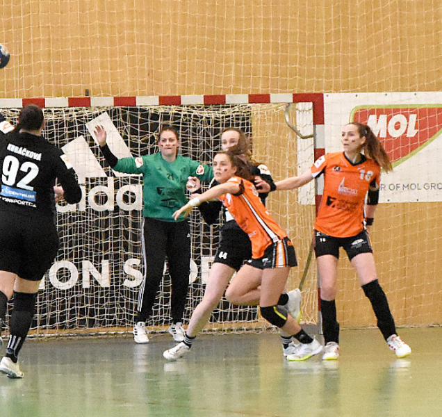 Interliga házenkářek začne první víkend v září