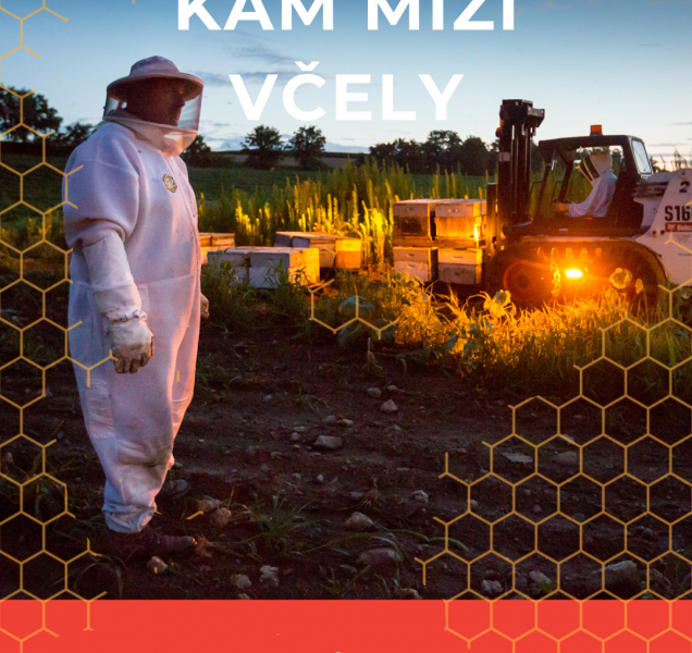 Festival ukáže, kam mizí včely a jak jim i včelařům pomoci