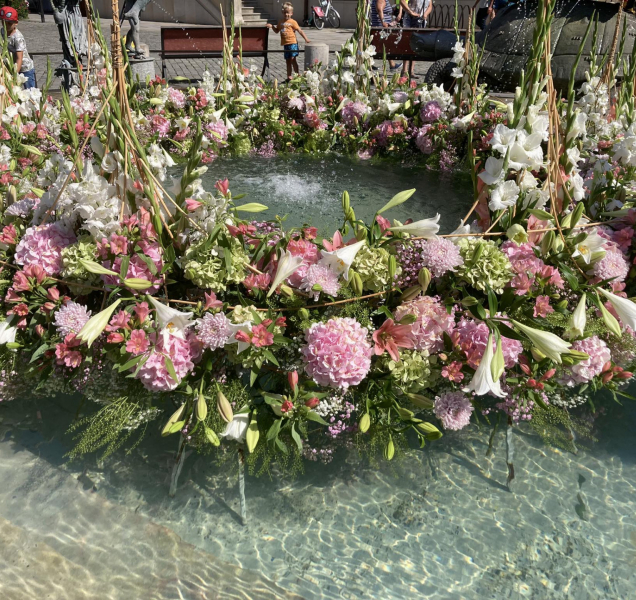 Růžové a bílé květiny krášlí Ariónovu kašnu