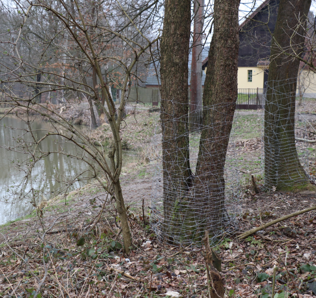 Bobři se z Přerova nestěhují. Vyhráli spor na kraji