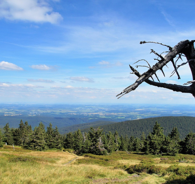 Injekce turistickému ruchu v Jeseníkách, díl druhý