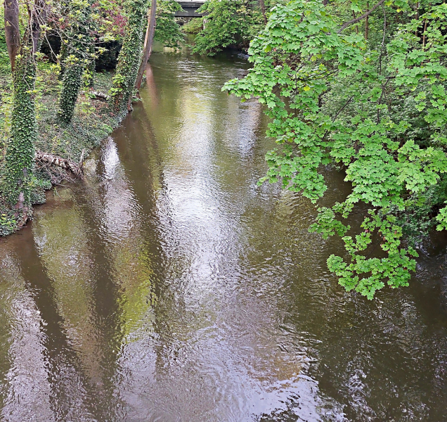 Úklid Mlýnského potoka završí historický prvosjezd jezu u Šantovky
