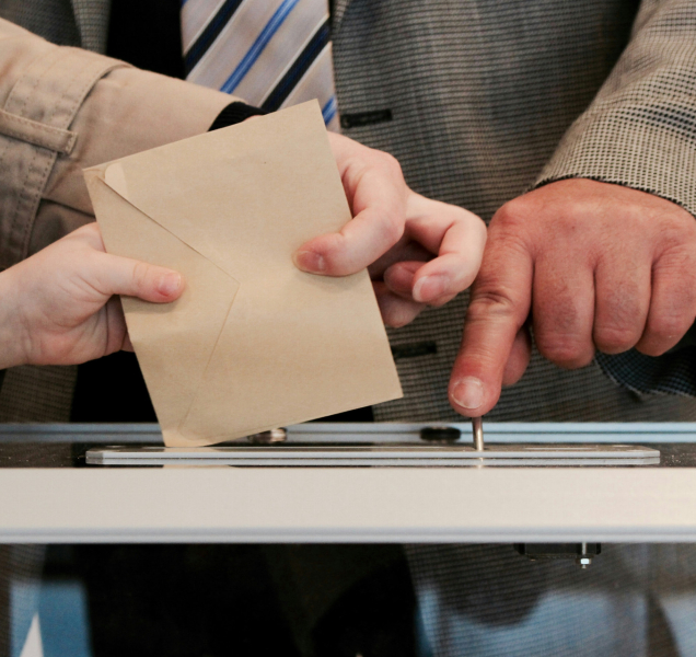 Pojďme k volbám, naše země za to stojí