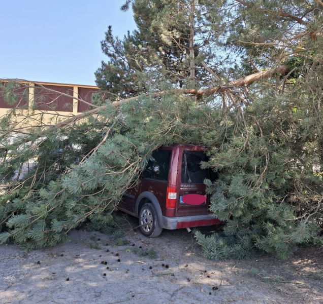 Hasiči v kraji vyjížděli kvůli větru k desítkám událostí