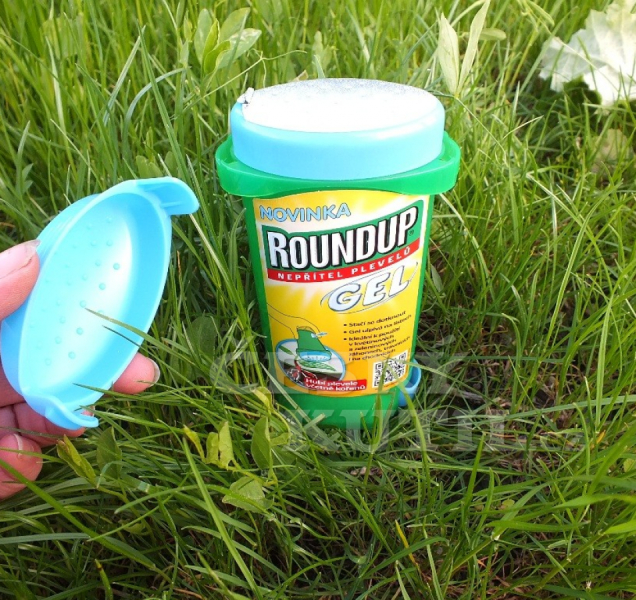 Roundup už ne? Město hledá alternativu v hubení plevele