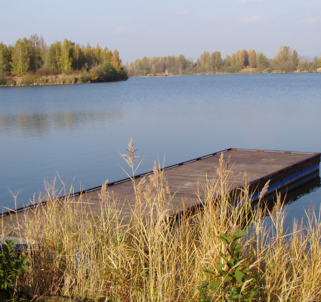 Příští týden skončí deště, bude hezké léto
