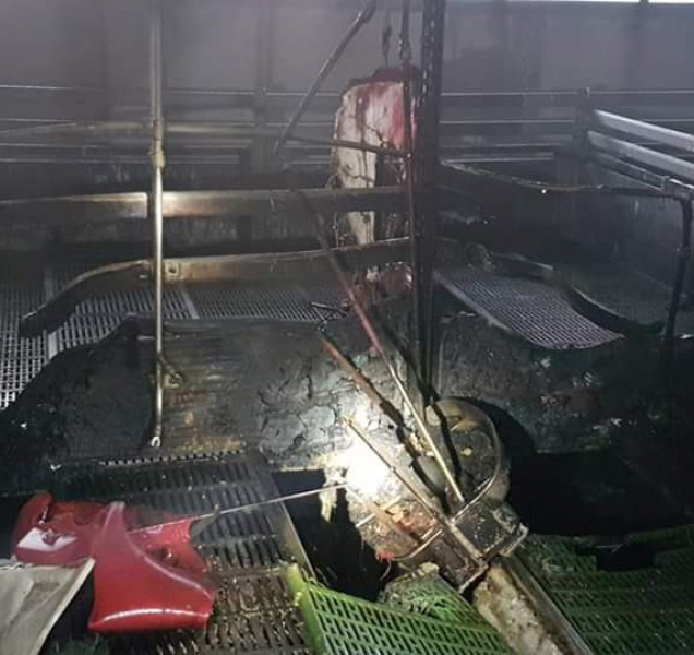 Hasiči při požáru ve Velkém Týnci zachránili téměř 400 prasat