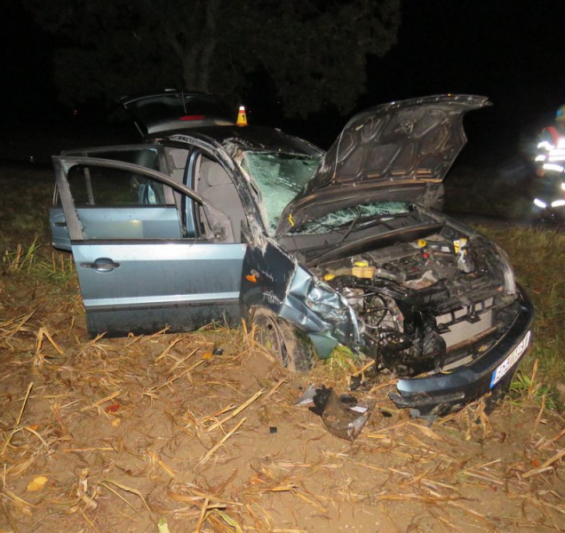 Muž v autě se vyhnul srážce s prasetem, narazil do stromu