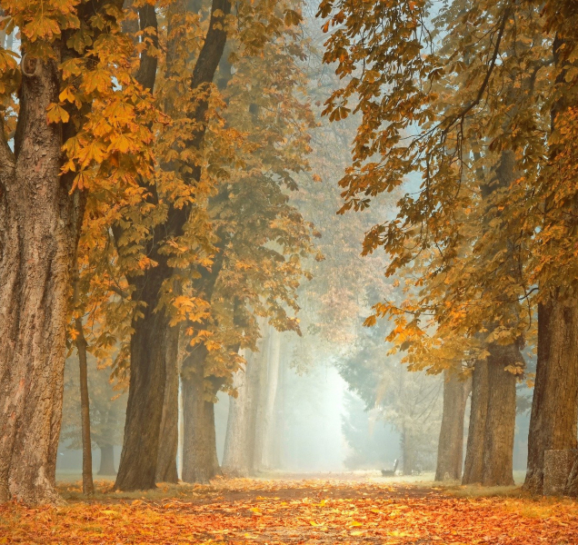 Nedělní teploty se budou motat kolem desítky