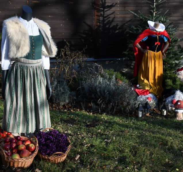Olomoucká zoo se na vánoce promění v pohádku