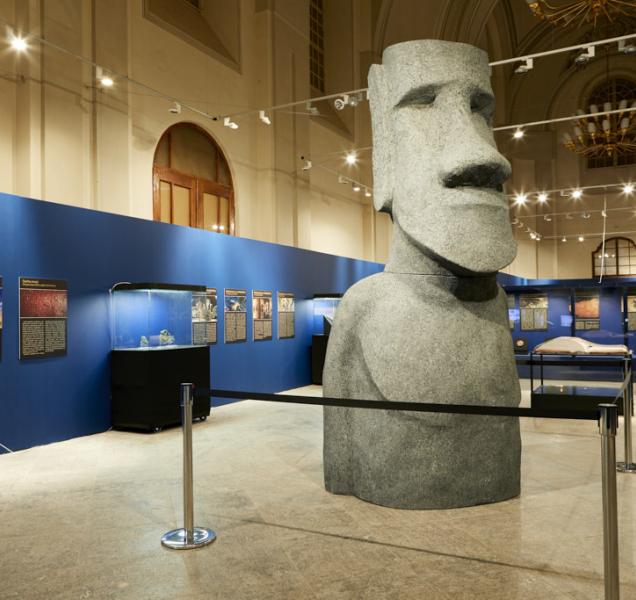 Co se letos chystá ve Vlastivědném muzeu Olomouc?