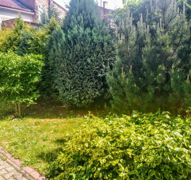 Na přerovském náměstí letos vyroste louka