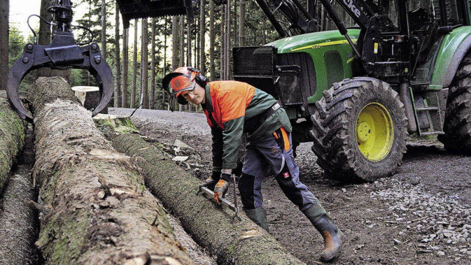 Lesníci očekávají kůrovcovou kalamitu. Chystají 200 tisíc lapačů