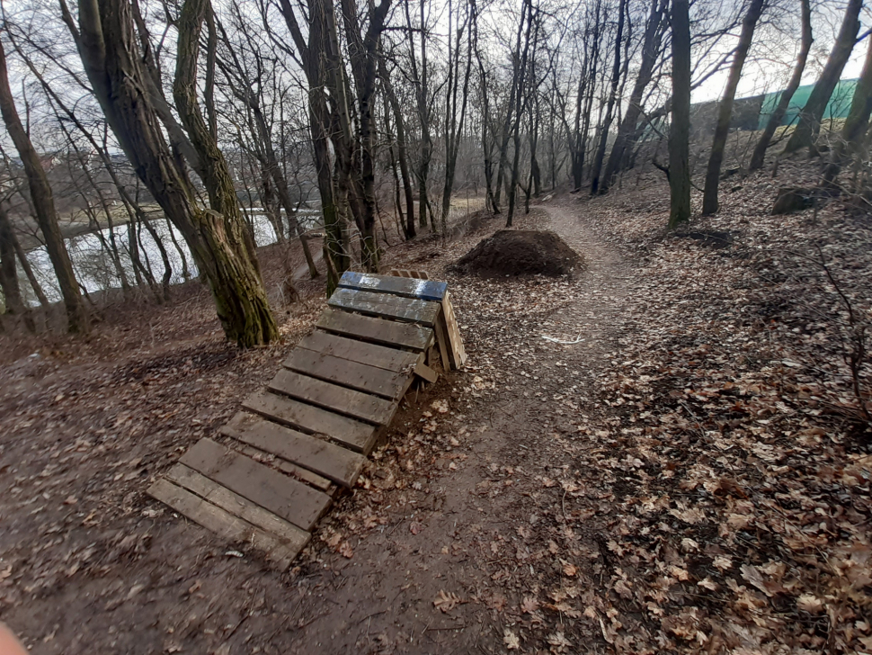 Vandalové poničili Neředínský les