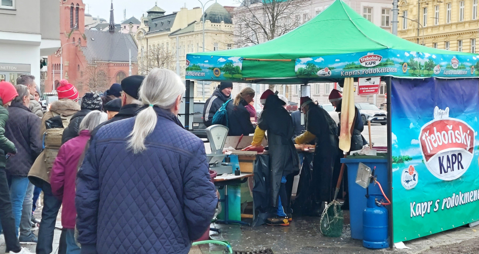 Máte doma kapra? Určitě ho nepouštějte do přírody