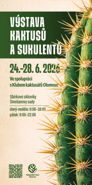 Kaktusy a sukulenty